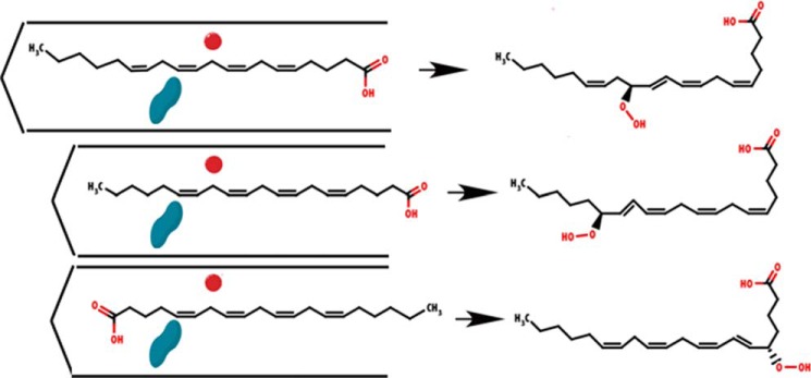 FIGURE 1.