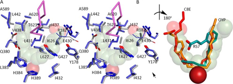 FIGURE 3.