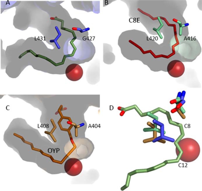 FIGURE 4.