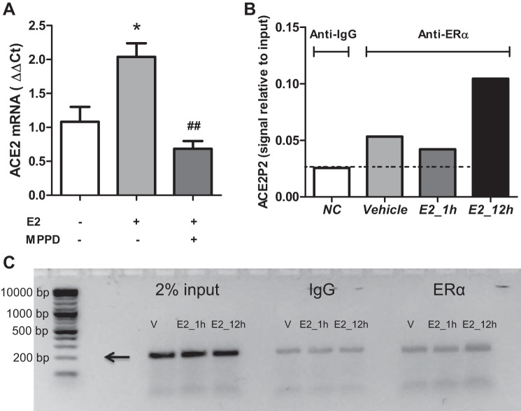 Fig. 9.