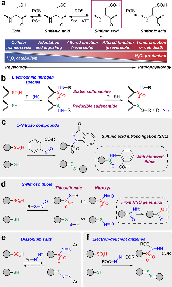 Figure 1 |