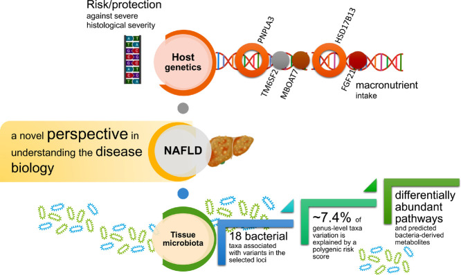 Image, graphical abstract