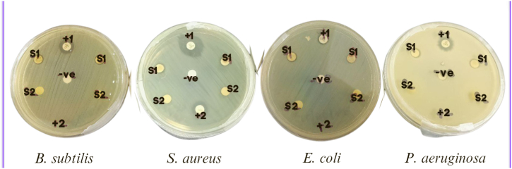 Fig. 8