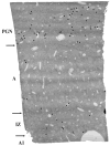 Fig. 12