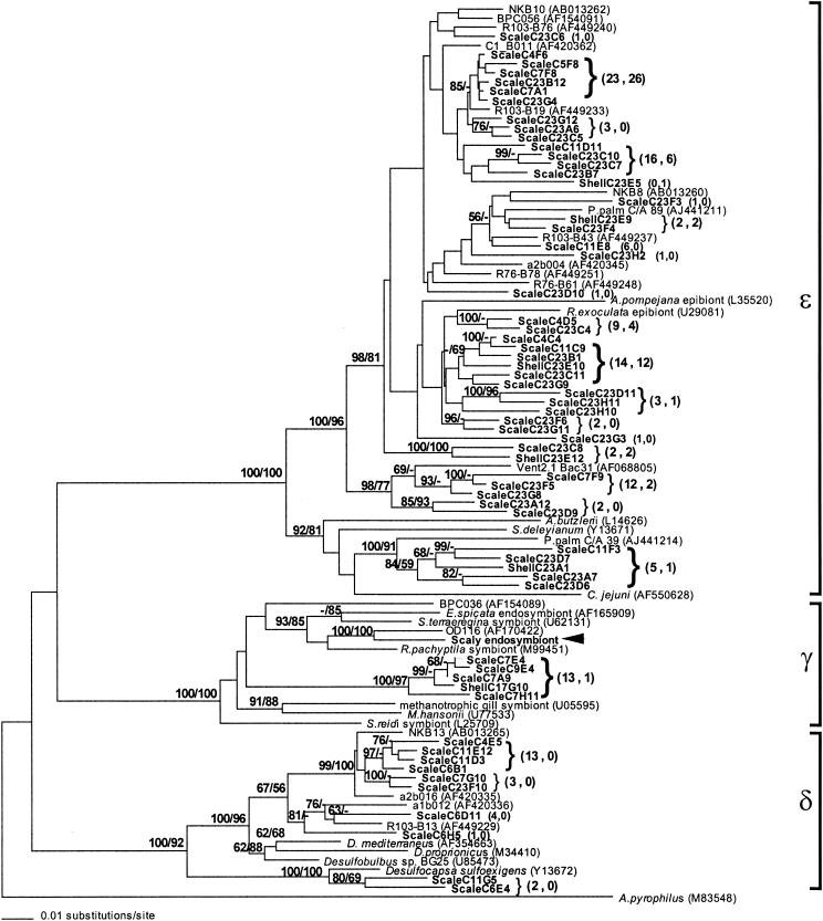 FIG. 4.