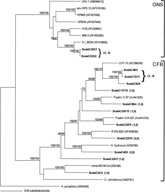 FIG. 5.