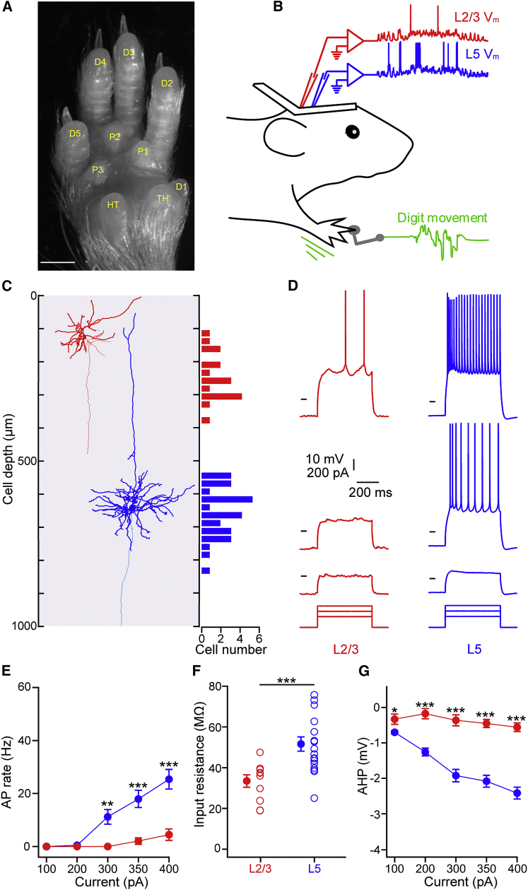 Figure 1