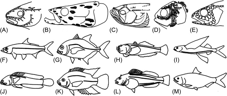 FIG. 3.