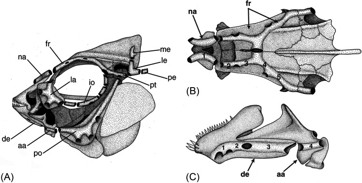 FIG. 2.