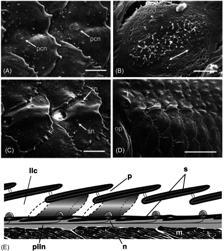 FIG. 4.