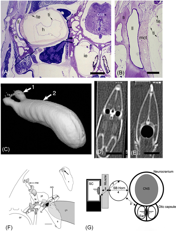 FIG. 5.