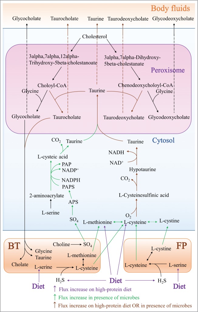 Figure 5.