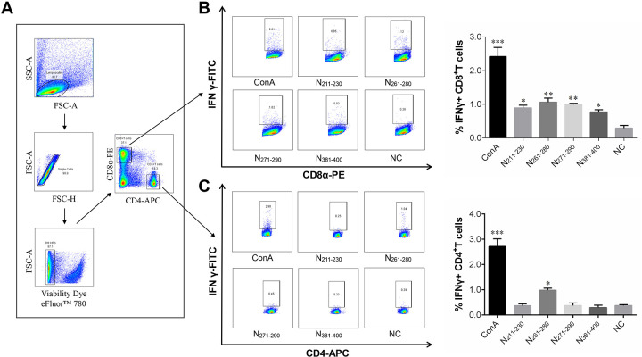 FIG 2