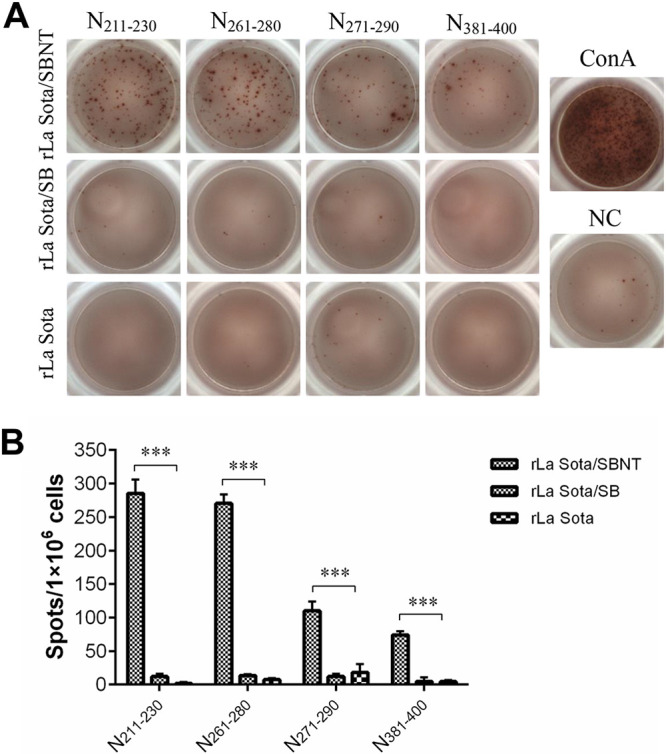 FIG 6