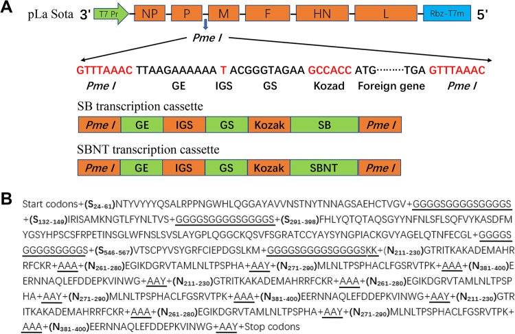 FIG 9