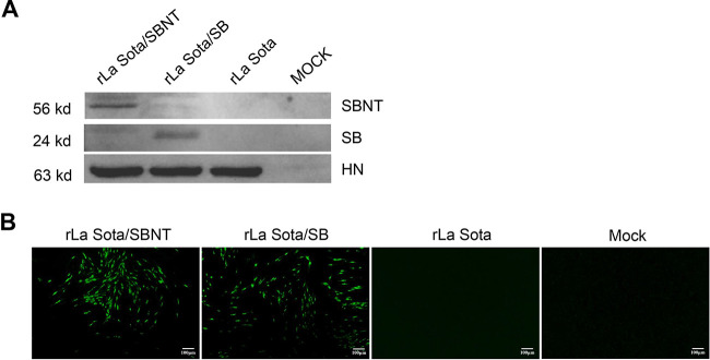 FIG 4