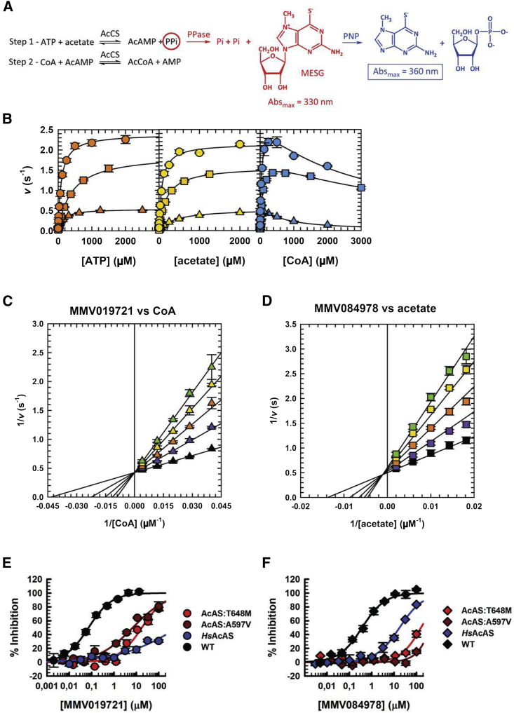 Figure 4