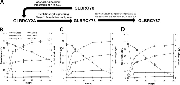 FIG 2