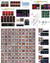Extended Data Fig. 5 |
