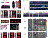 Extended Data Fig. 3 |