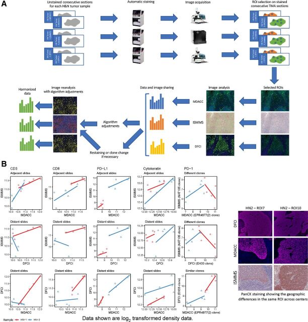 Figure 3. MICSSS/mIF whole tissue imaging pipeline harmonization, including staining, image acquisition, and image analysis combined on the H&N tumor samples; A, Representative illustration of MICSSS/mIF whole tissue imaging pipeline harmonization on H&N tumor samples. Images shown are for illustrative purposes to demonstrate workflow only and are not intended as primary data figures. B, Concordance plot of CD3, CD8, PD-1, PD-L1, and cytokeratin log2 transformed cell density data between three centers within each tissue type. The distribution of each marker is shown separately. For CD3, CD8, PD-L1, and cytokeratin, similar ROIs were examined by ISMMS and MDACC (adjacent slides), while geographically different ROIs (distant slides) were analyzed by DFCI. For PD-1, the three sites used different Ab clones, two of which performed similarly (at DFCI and MDACC, similar clones) while one had weaker staining (at ISMMS, different clones). Scatter plots are shown to illustrate the concordance between two sites. The two samples are coded by red and blue, respectively.