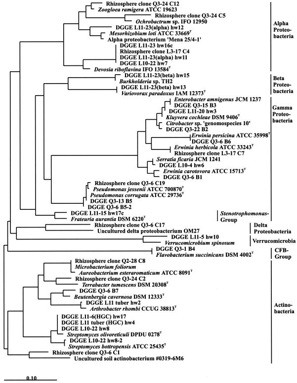 FIG. 7.