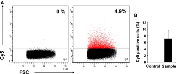 Fig 6