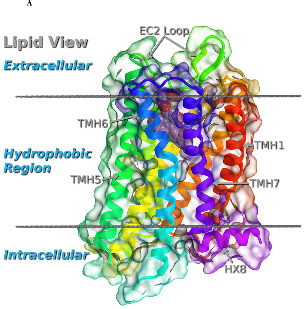 Fig. 3