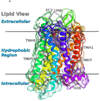 Fig. 3