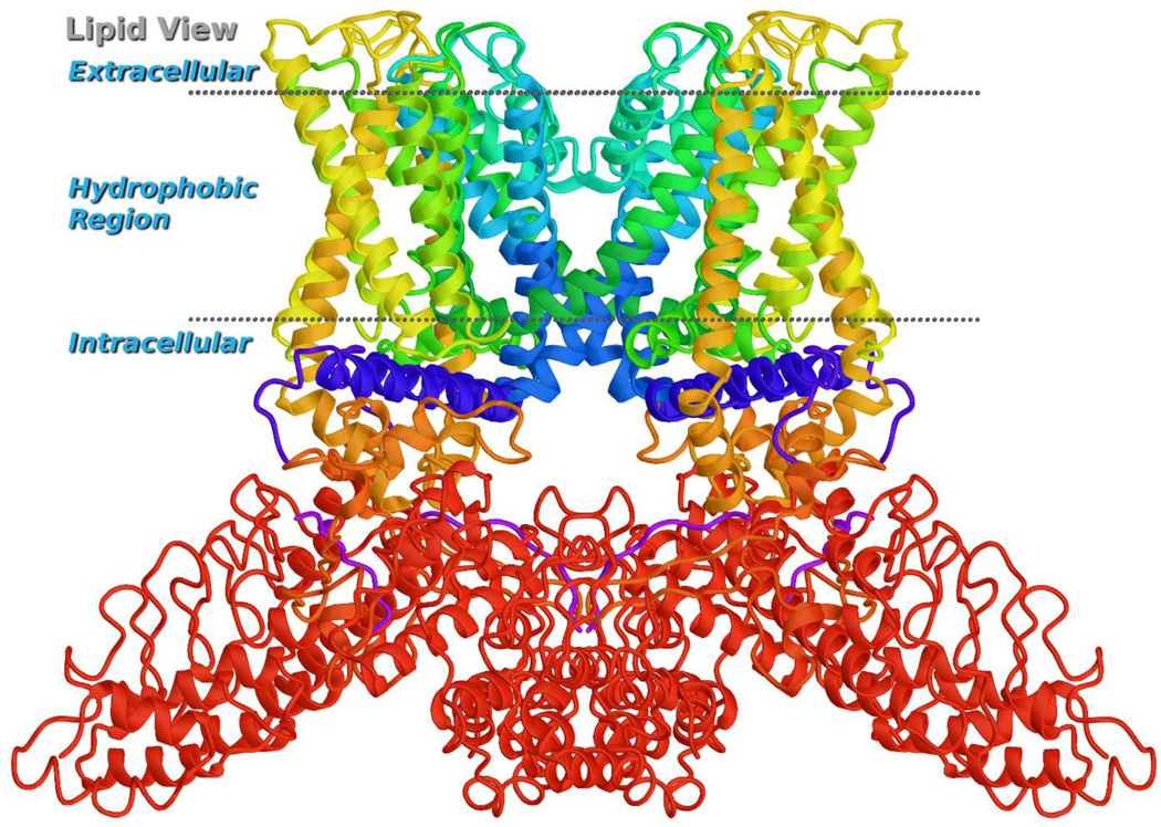 Fig. 10