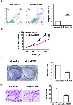 Fig. (2)