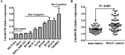 Fig. (1)