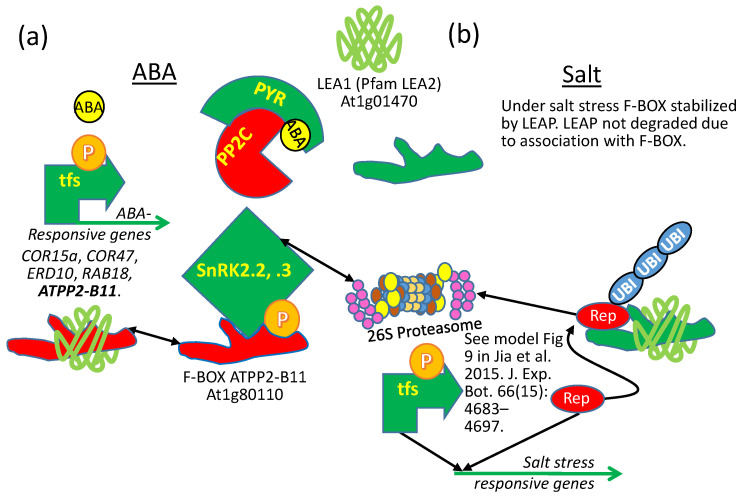 Figure 13