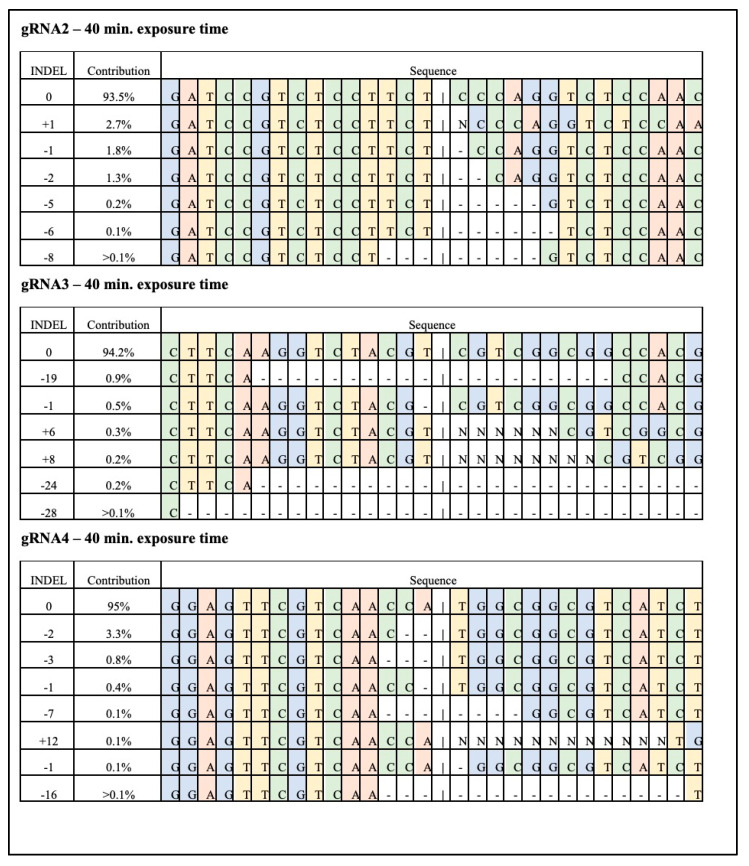 Figure 5