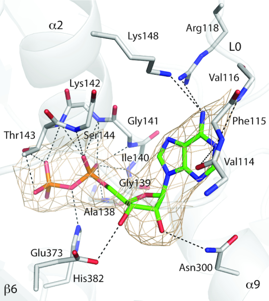 Figure 2.