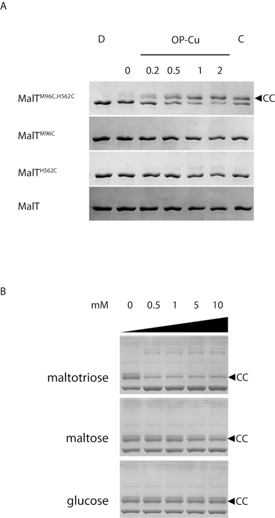 Figure 5.