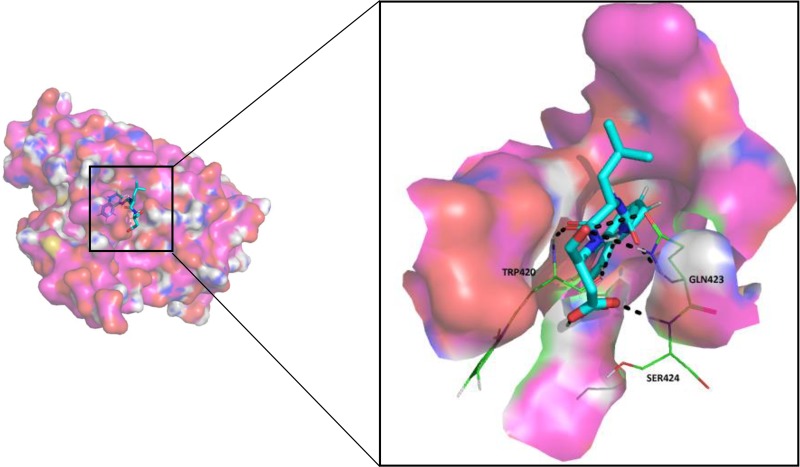 Figure 4