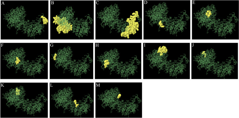 Fig. 7