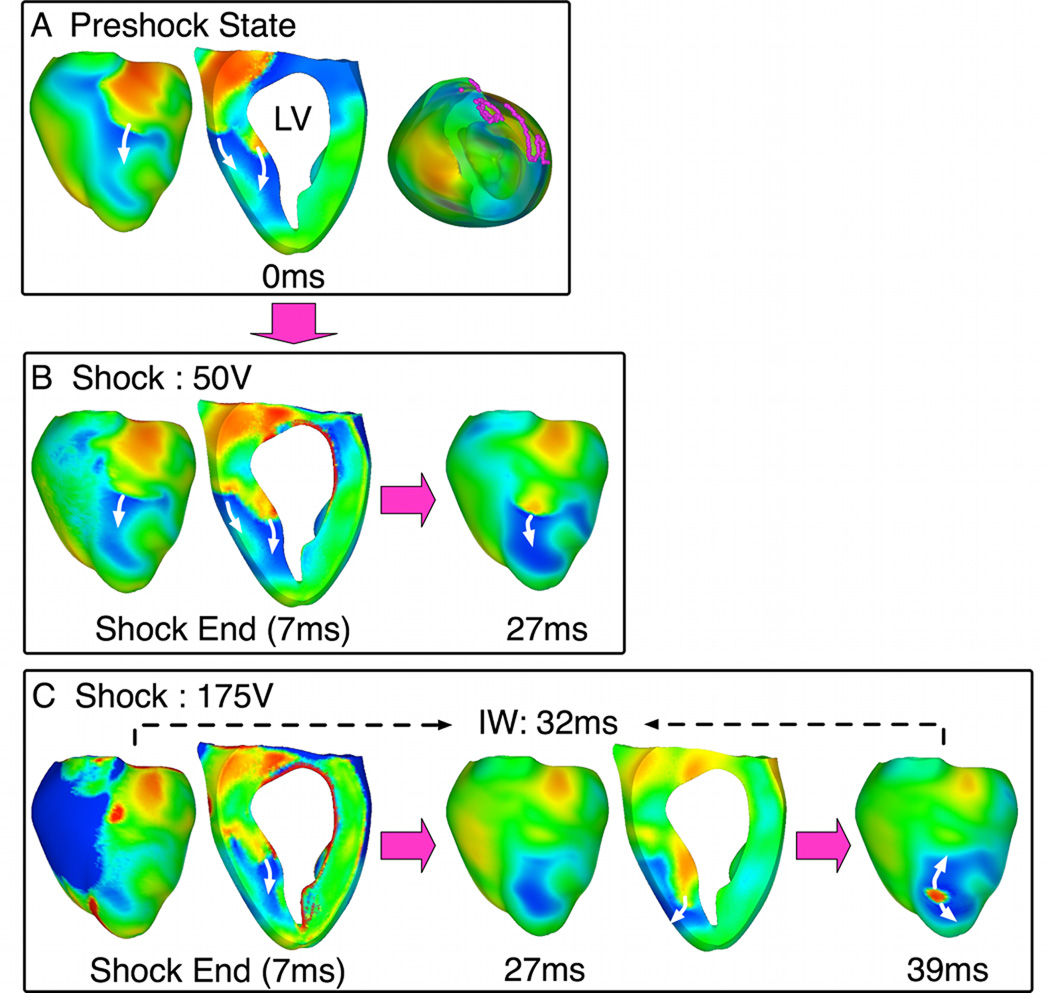 Fig. 6