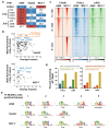 Fig 7: