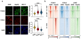 Extended Data Fig. 9.