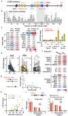 Fig 2: