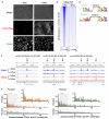 Extended Data Fig. 5.