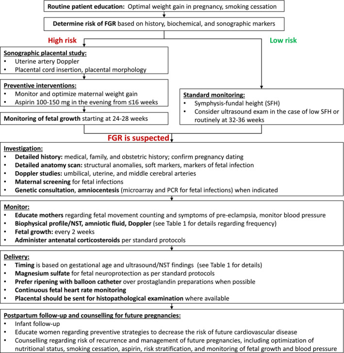 FIGURE 1A