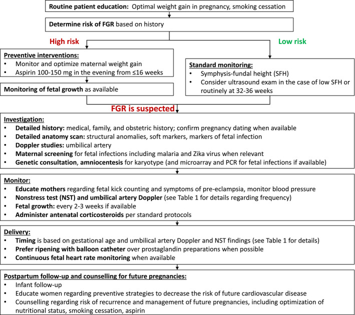 FIGURE 1B