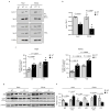 Extended Data Figure 2