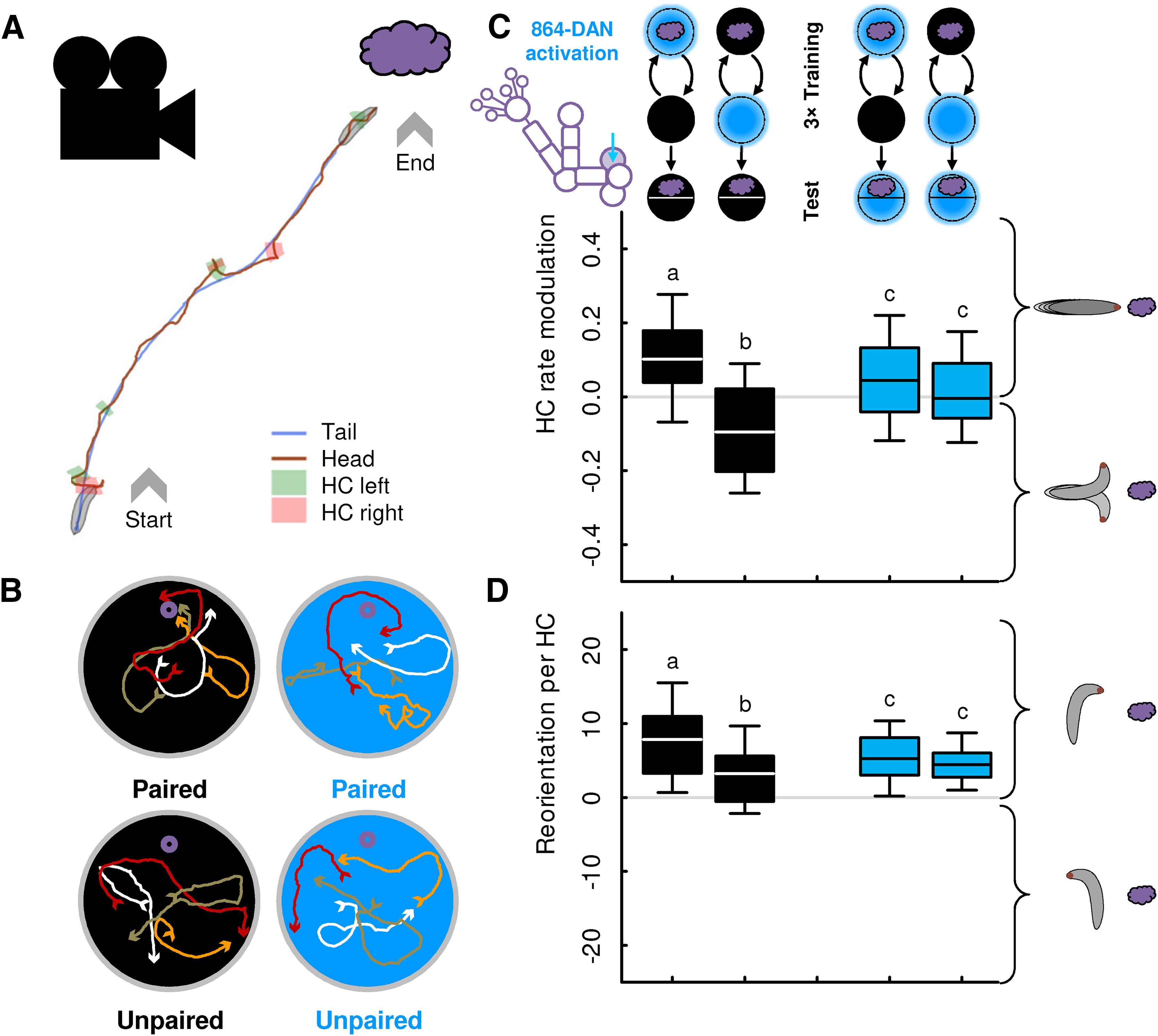 Figure 10.