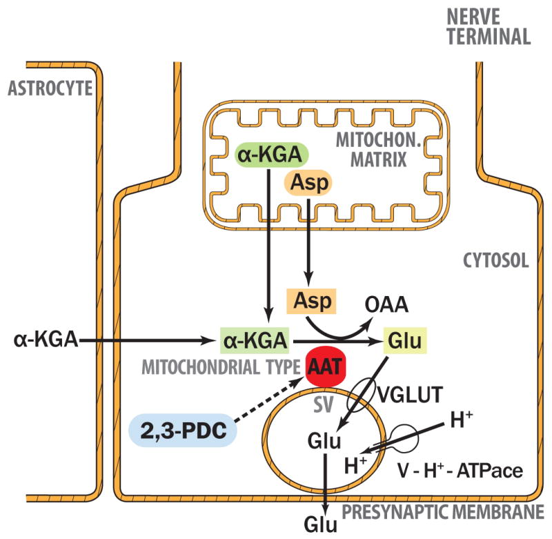 Fig. 10