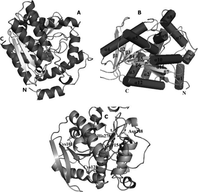 Newly Identified Thermostable Esterase from Sulfobacillus acidophilus ...