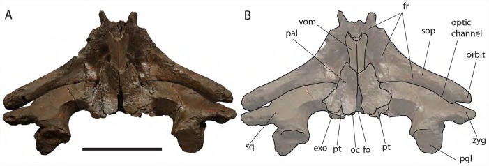 Figure 10